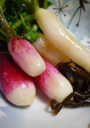 塩昆布で作る♪ミニ大根の簡単漬物-レシピのメイン写真