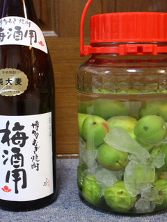 焼酎にこだわった梅酒-レシピのメイン写真