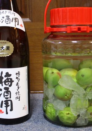 焼酎にこだわった梅酒-レシピのメイン写真