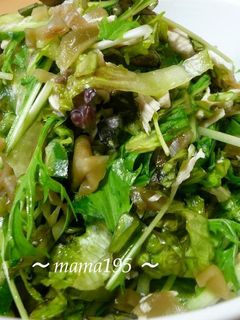 ★鶏ささみ&ざあさいサラダ☆-レシピのメイン写真