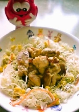 さっぱり☆鶏肉のサラダ-レシピのメイン写真