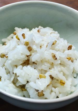 発芽もち麦 ダイシモチ入りご飯-レシピのメイン写真