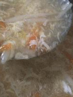スープにかくし味~-レシピのメイン写真