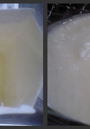 炊飯器で手作りヨーグルト-レシピのメイン写真
