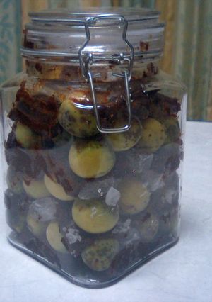 梅の味噌漬け-レシピのメイン写真