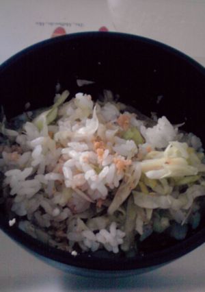 たまそぼろで簡単キャベツ丼☆-レシピのメイン写真