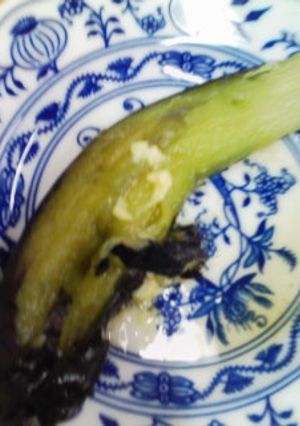 茄子の簡単おひたし-レシピのメイン写真