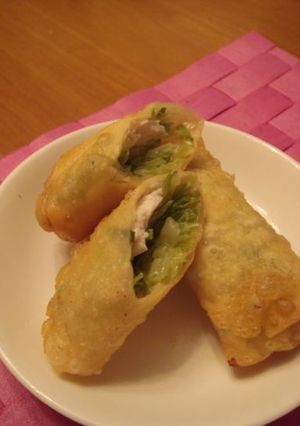 ★キャベツ春巻き★-レシピのメイン写真