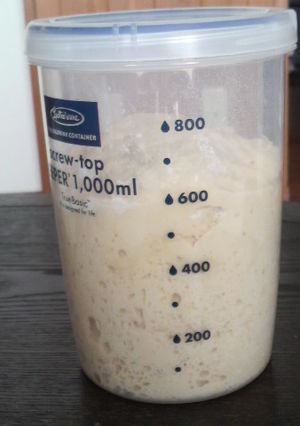 自家製酵母で元種作り♪-レシピのメイン写真