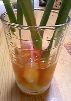甘酢DE谷中生姜-レシピのメイン写真