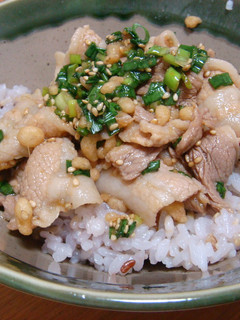 超簡単★あっさり茹で豚ねぎ丼-レシピのメイン写真