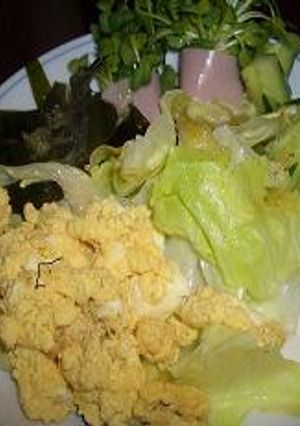 檸檬ドレッシング自作メモ-レシピのメイン写真