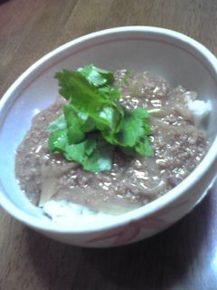 豚ひき肉と玉ねぎの丼-レシピのメイン写真