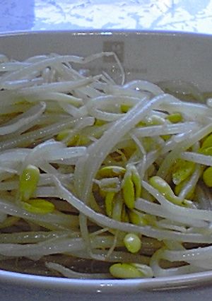 豆もやしのナムル-レシピのメイン写真