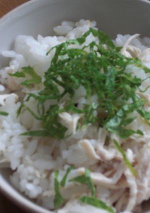 生姜でさっぱり☆だし入りささみの混ぜご飯-レシピのメイン写真