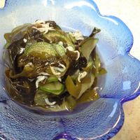 基本からアレンジまで！思わずつくりたくなる「酢の物酢」のレシピ集