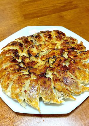 いつもの餃子に油あげをいれてみた!-レシピのメイン写真