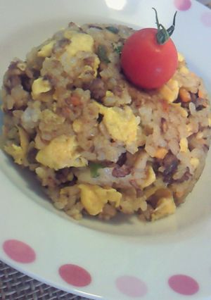 子供も大好きドライカレーヽ(´▽`)/-レシピのメイン写真