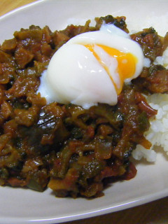 夏はこれ♪ ゴーヤカレー-レシピのメイン写真