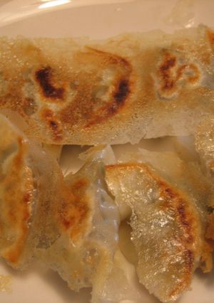 ホットプレートで羽付き餃子-レシピのメイン写真