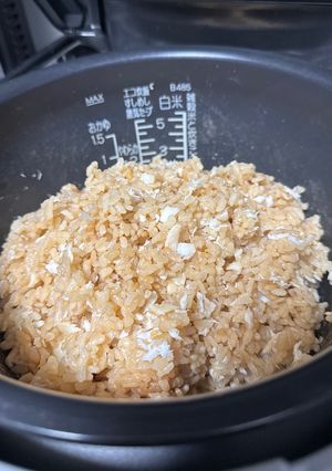 鯛めし-レシピのメイン写真