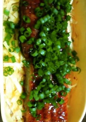 汁漏れバイバイ★安心丼弁当-レシピのメイン写真