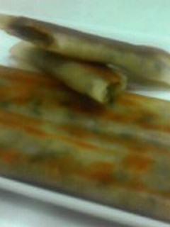 餃子と春巻きのコラボ☆-レシピのメイン写真