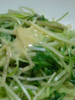 ハリハリ水菜の辛子和え-レシピのメイン写真