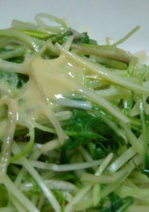 ハリハリ水菜の辛子和え-レシピのメイン写真