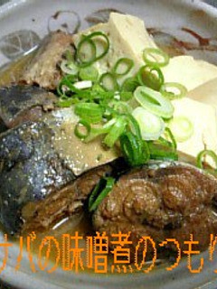 圧力鍋でサバの味噌煮・・のつもりw-レシピのメイン写真