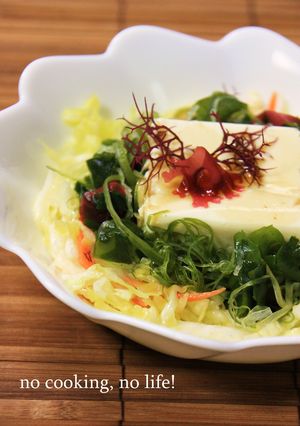 シャキシャキ浅漬け！豆腐サラダ！-レシピのメイン写真