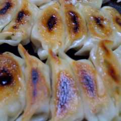 豆腐入り餃子-レシピのメイン写真