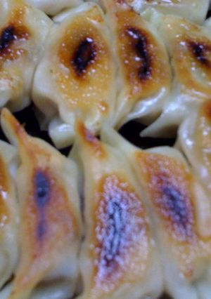 豆腐入り餃子-レシピのメイン写真