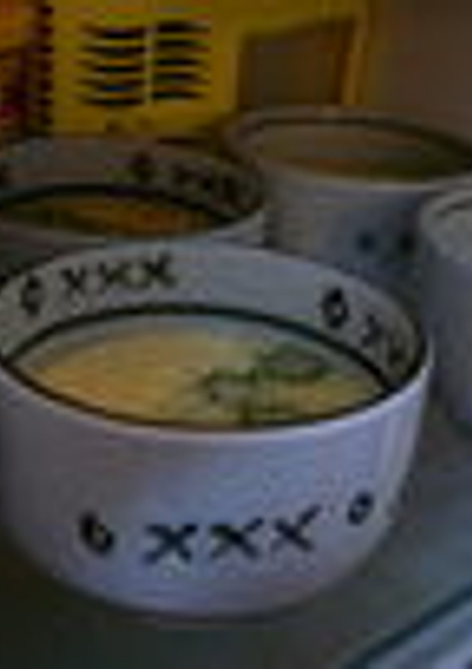 夏は冷たい茶碗蒸し-レシピのメイン写真