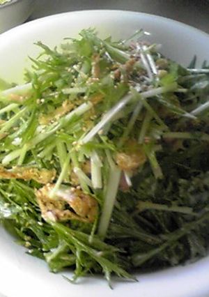 簡単♪和風水菜サラダ-レシピのメイン写真