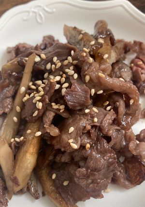 牛肉のゴボウ炒め-レシピのメイン写真