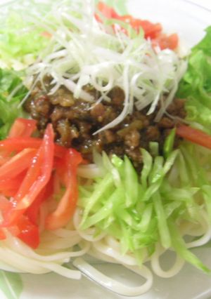 ナス＆豚ミンチヘルシージャージャー麺-レシピのメイン写真