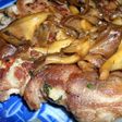 豚の重ね焼きキノコソース
