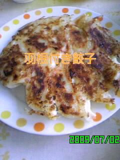 羽根付き餃子-レシピのメイン写真