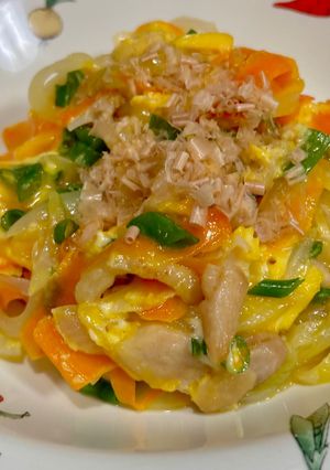 鶏肉と玉ねぎと人参の炒めもの♪-レシピのメイン写真