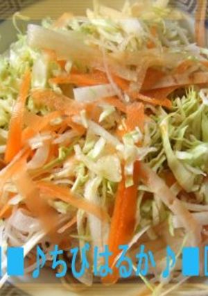 野菜ののっけもり蕎麦-レシピのメイン写真