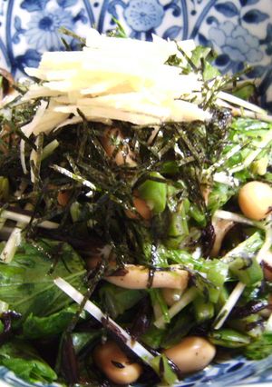 夏ばて解消生姜風味の夏サラダ-レシピのメイン写真