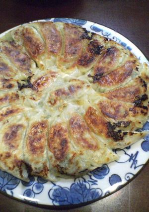 ヘルシーな野菜たっぷり餃子-レシピのメイン写真
