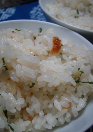 ♪炊き込み梅しそごはん♪-レシピのメイン写真