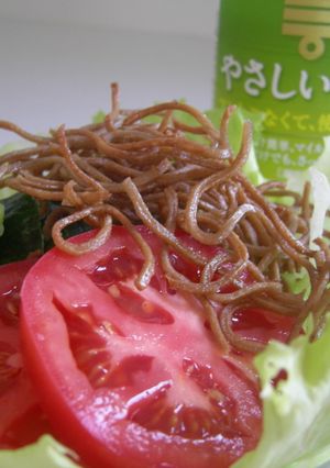 揚げ蕎麦☆サラダ-レシピのメイン写真
