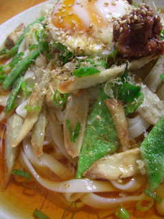 こっサリ☆揚げ野菜と梅の冷やしうどん-レシピのメイン写真