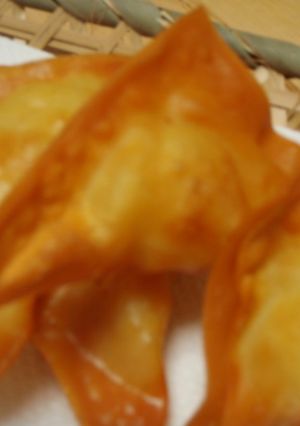 簡単♪割きイカのワンタン包み揚げ-レシピのメイン写真