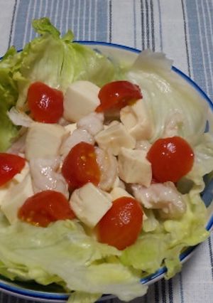 ヘルシー✿豆腐とささみのサラダ-レシピのメイン写真