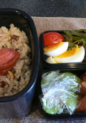 大豆ハンバーグ弁当-レシピのメイン写真