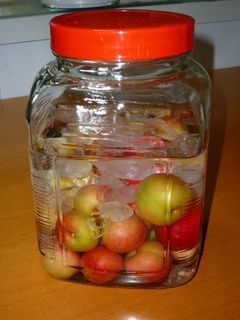 実家のすもも酒。-レシピのメイン写真